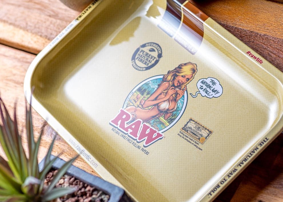 RAW Rolling Tray Girl by Rockin' Jelly Bean Smoke Cargo