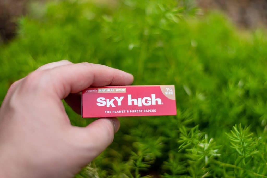 Sky high essay 06 image