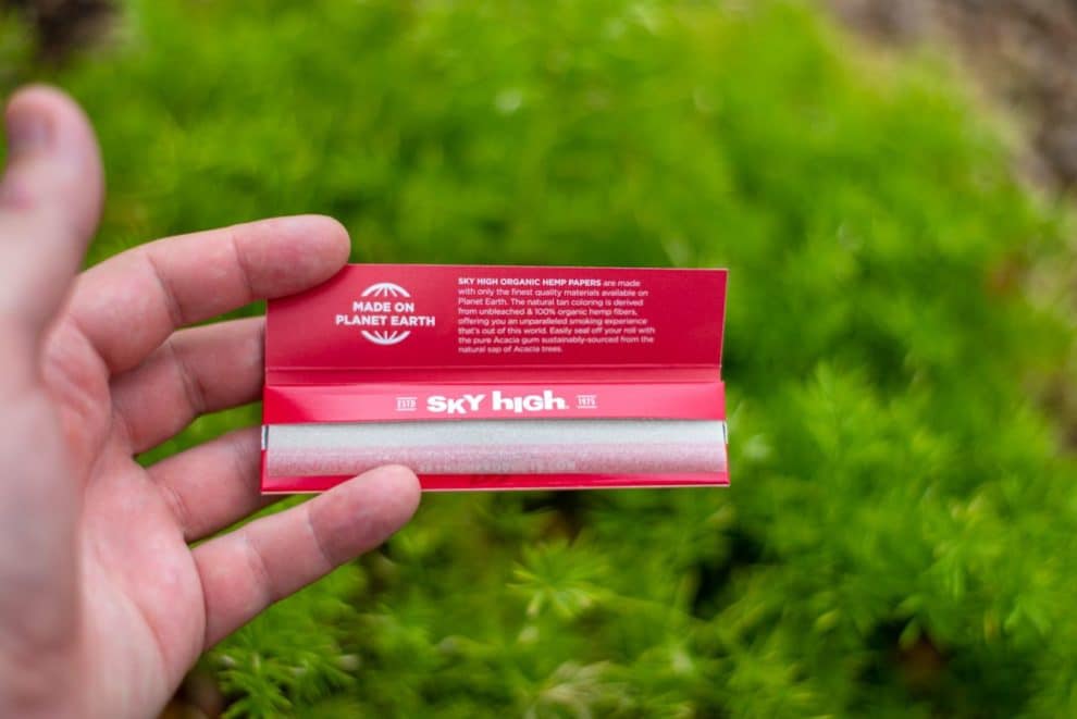 Sky high essay picture